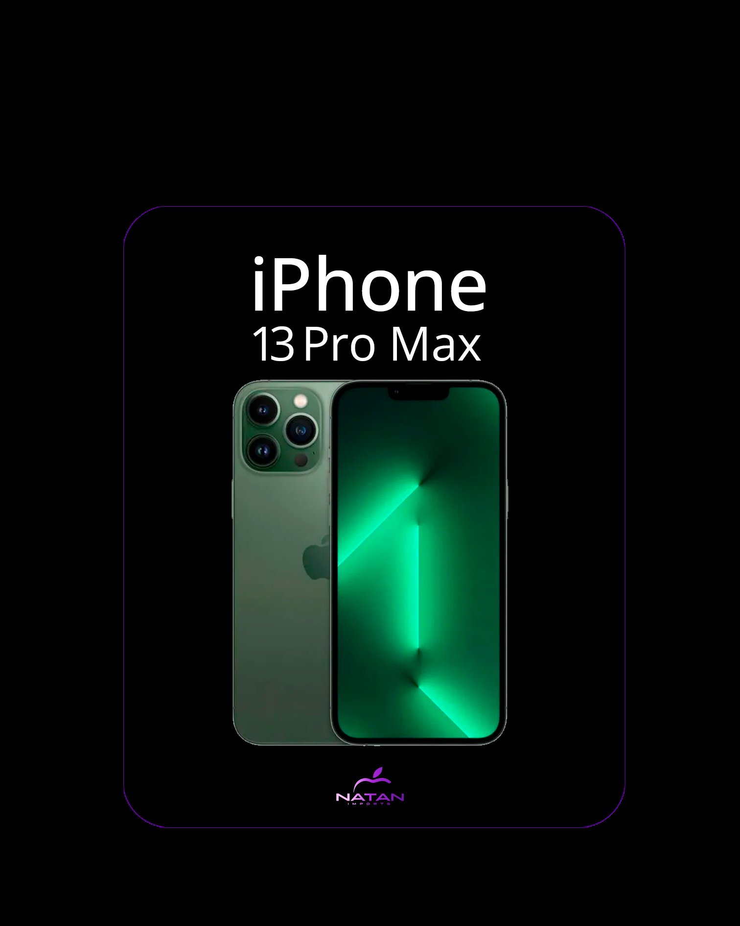 13 pro max